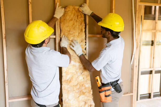 Best Insulation Contractor Near Me  in Dubuque, IA